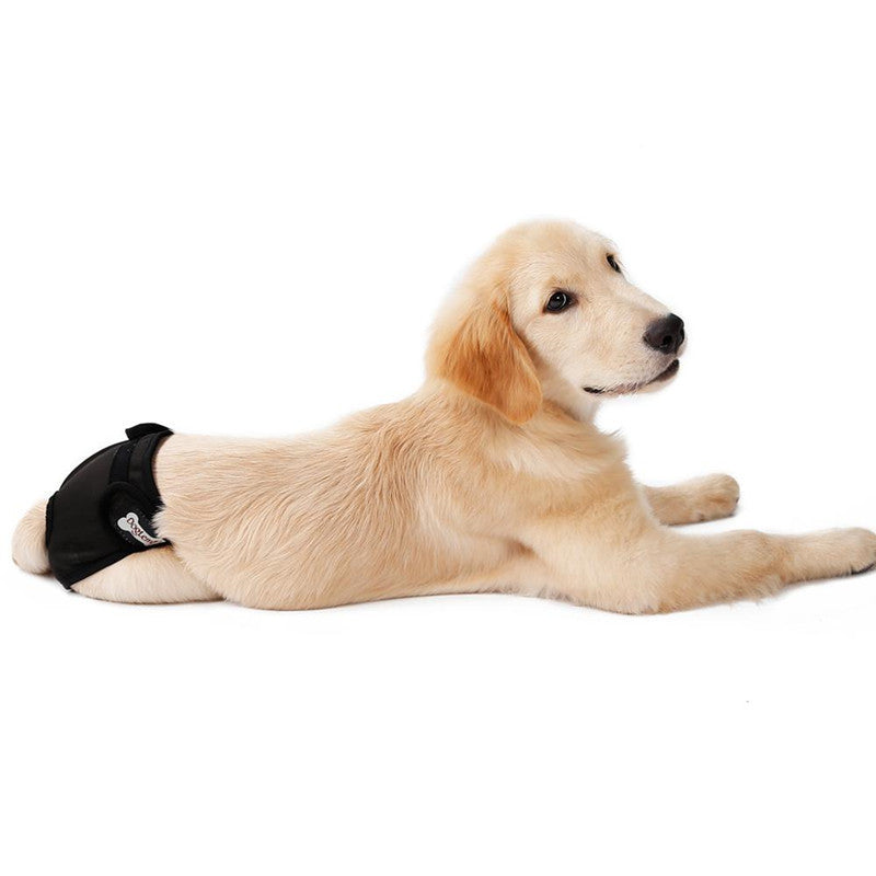 Fido Bay Dog Heat Cycle Pants | Adjustable & Comfortable for Female Dogs - Fido Bay