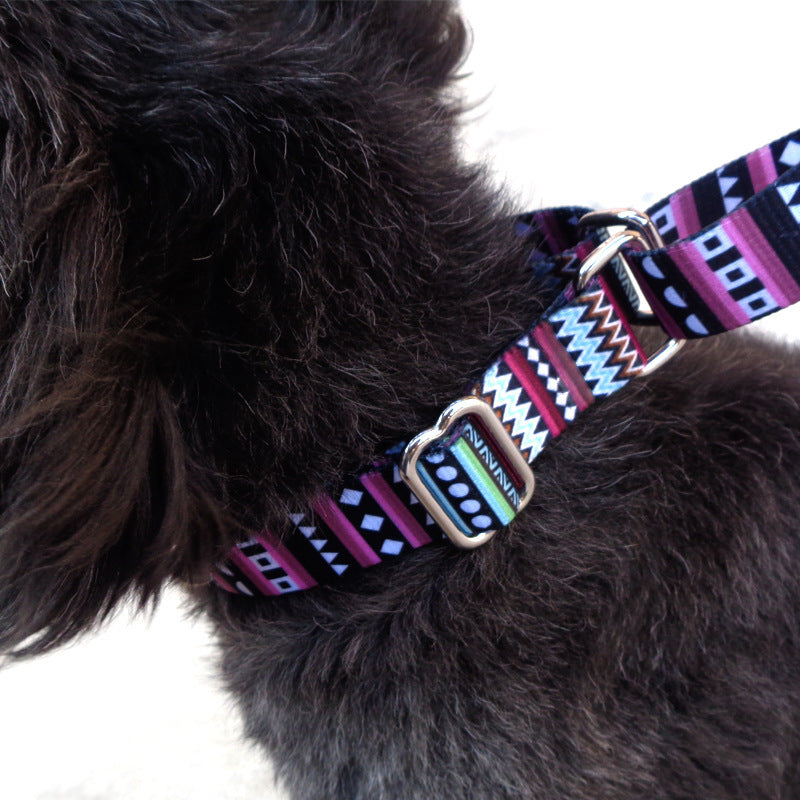 Fido Bay | Aztec Majesty Pet Collar – Stylish, Strong & Comfortable for All Breeds - Fido Bay