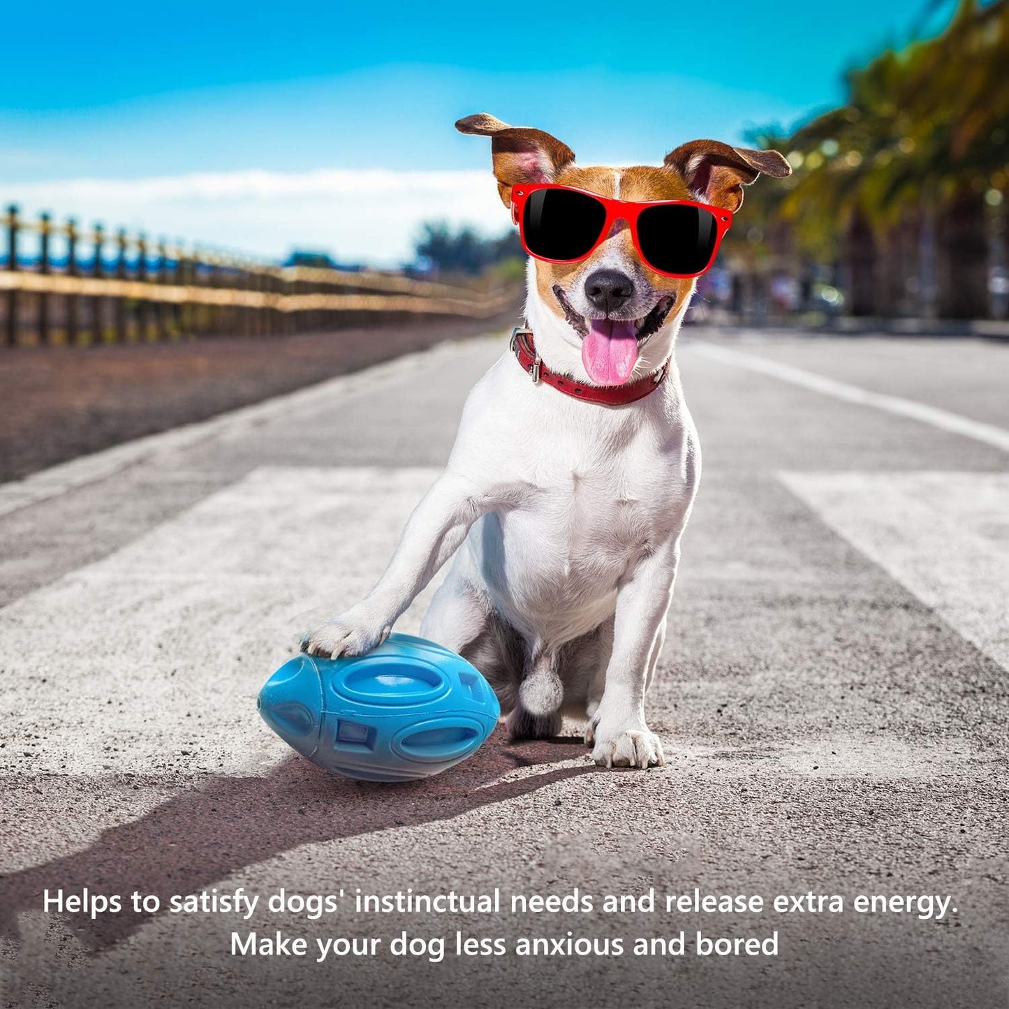 Fido Bay | Ultra-Durable Squeaky Dog Toy – Safe, Chew-Resistant & Fun for Active Dogs - Fido Bay