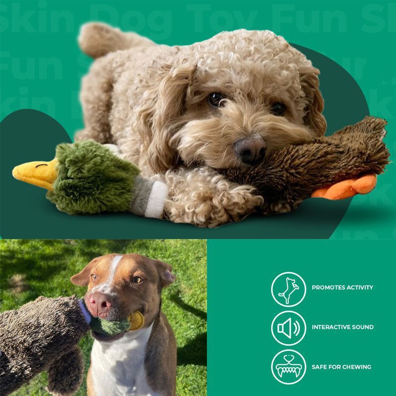 Fido Bay | Stuffless Squeaky Dog Toy – Soft & Durable Wild Duck Design for Active Play - Fido Bay