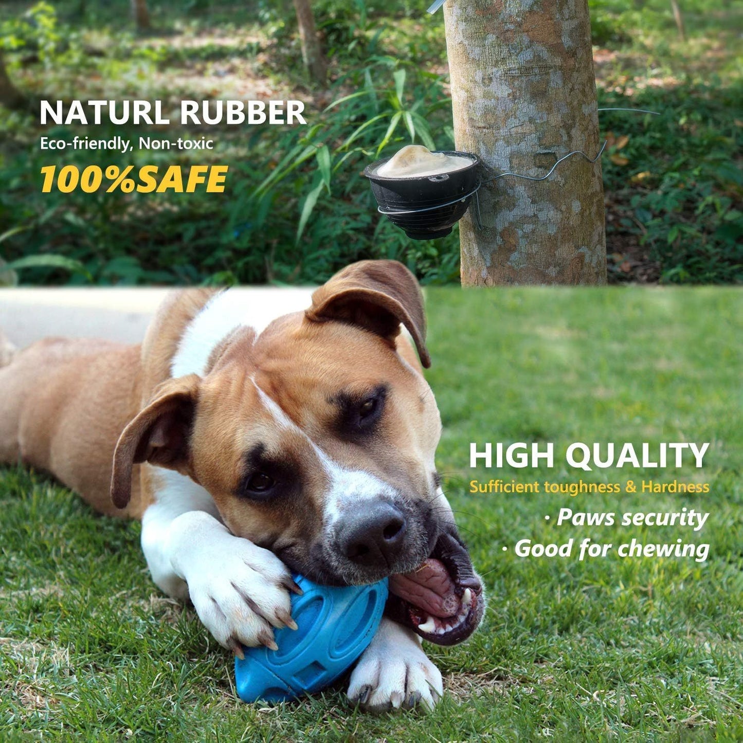 Fido Bay | Ultra-Durable Squeaky Dog Toy – Safe, Chew-Resistant & Fun for Active Dogs - Fido Bay