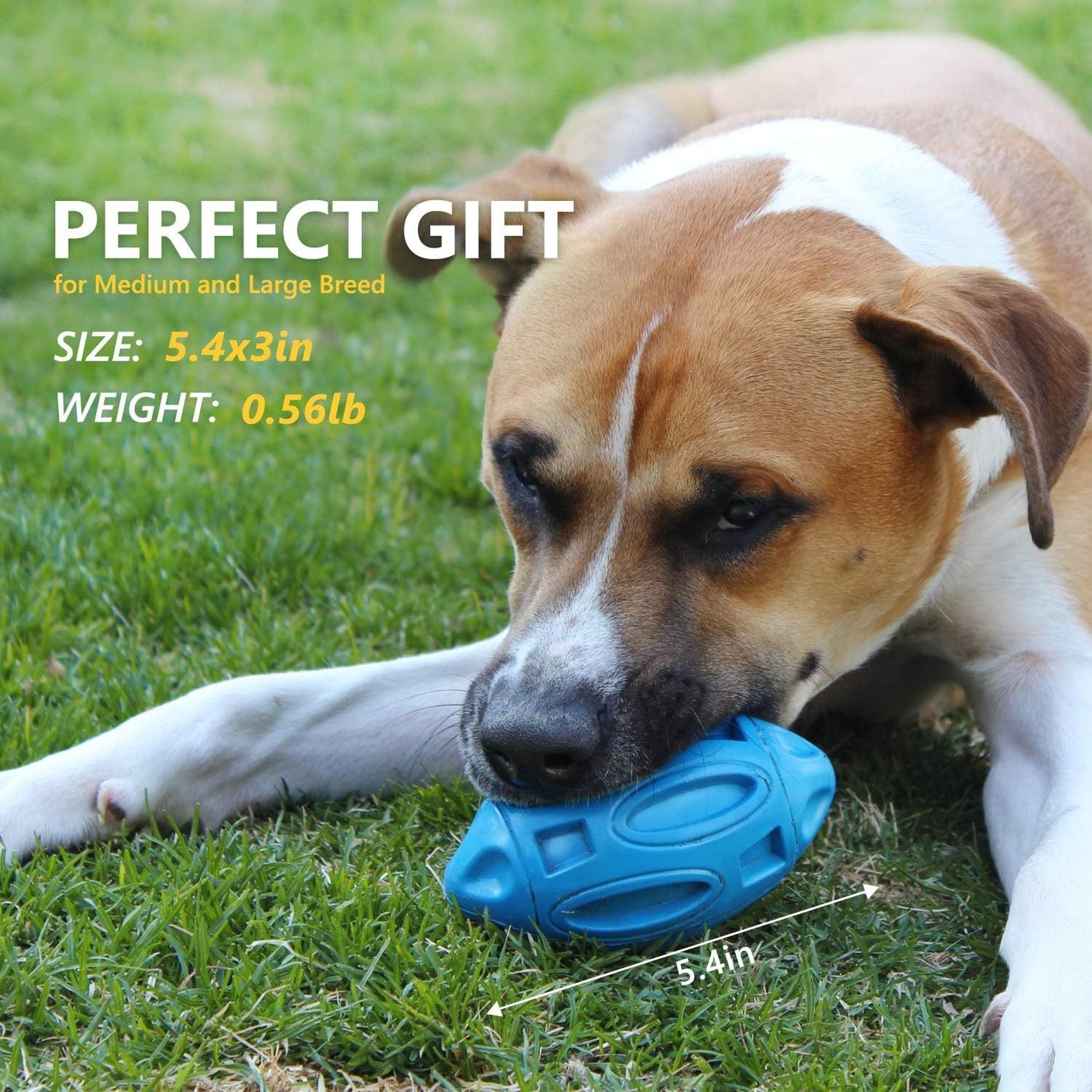 Fido Bay | Ultra-Durable Squeaky Dog Toy – Safe, Chew-Resistant & Fun for Active Dogs - Fido Bay