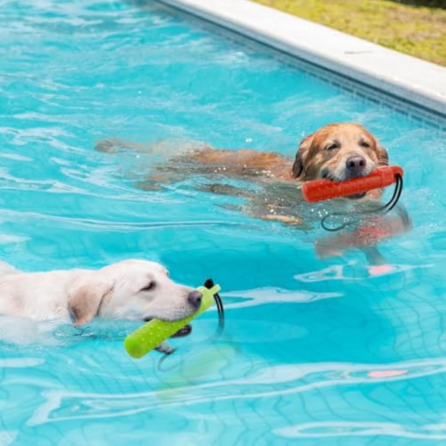 Fido Bay Floating Dog Fetch Training Aid | Durable, Interactive Toy for Water Play & Treat Rewards - Fido Bay