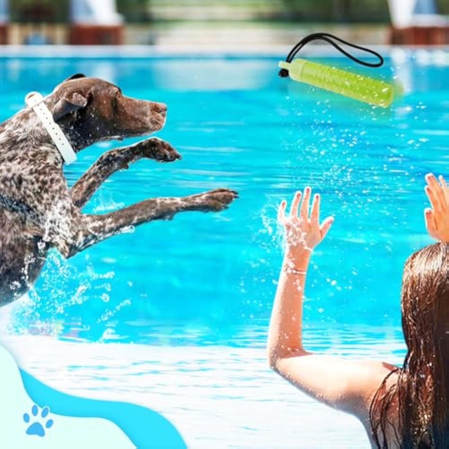 Fido Bay Floating Dog Fetch Training Aid | Durable, Interactive Toy for Water Play & Treat Rewards - Fido Bay