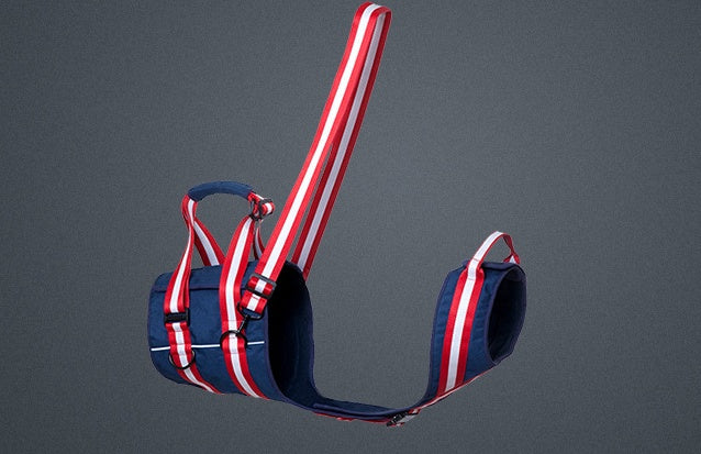 Pet Leash Harness for Elderly, Injured & Lame Dogs | Union Jack Design with Shoulder & Lifting Straps - Fido Bay