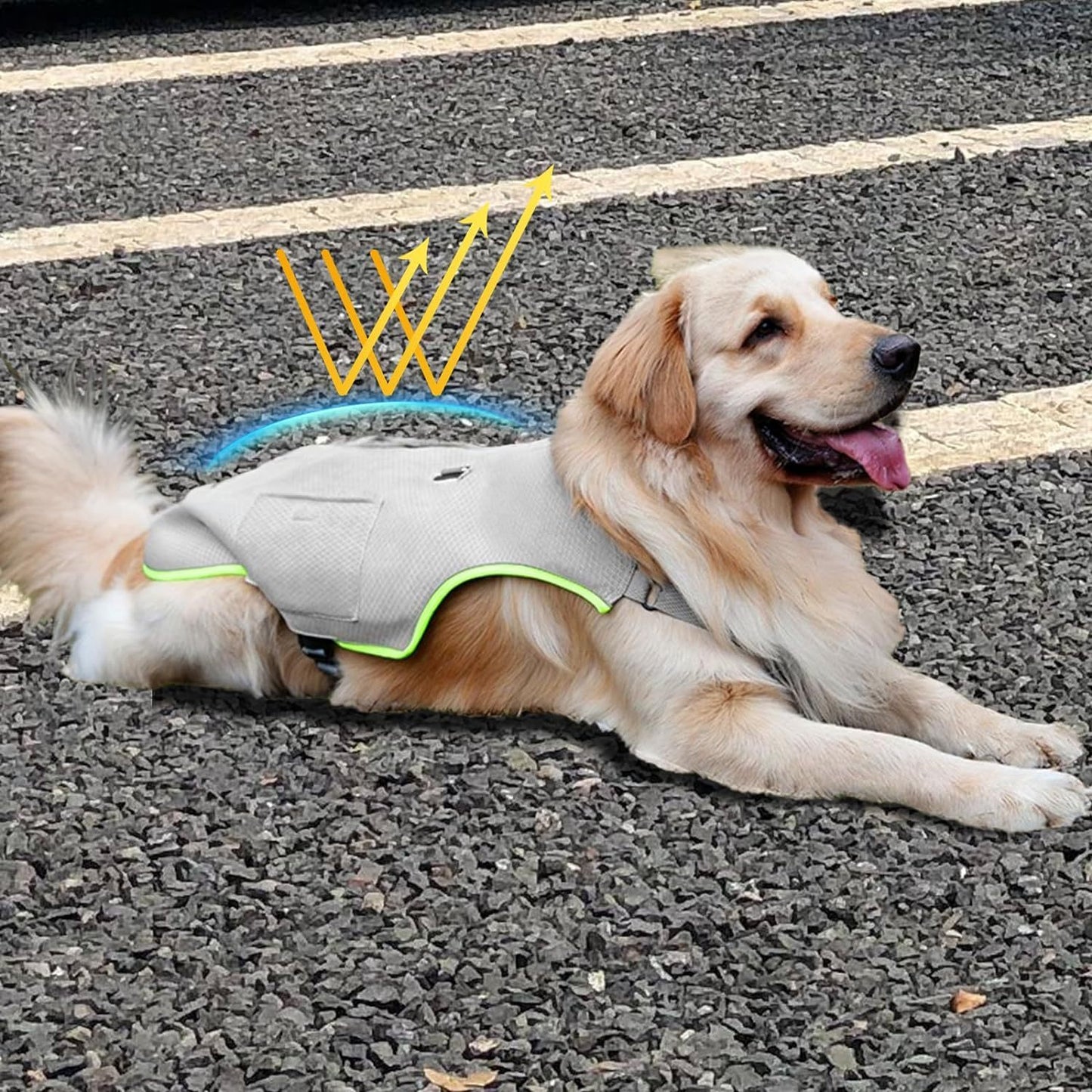 Fido Bay | Dog Grey Cooling Vest – Ice Pack Cooling, Adjustable for Comfort & Performance - Fido Bay