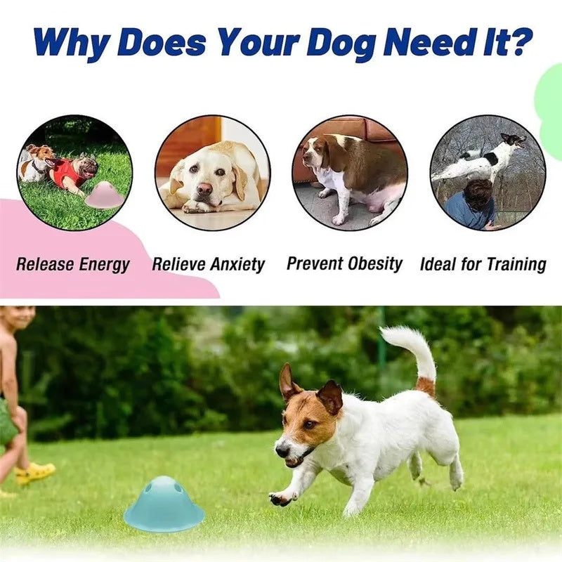 Fido Bay | Hide and Seek Dog Toys – Engaging Puzzle for Brain & Mental Stimulation - Fido Bay