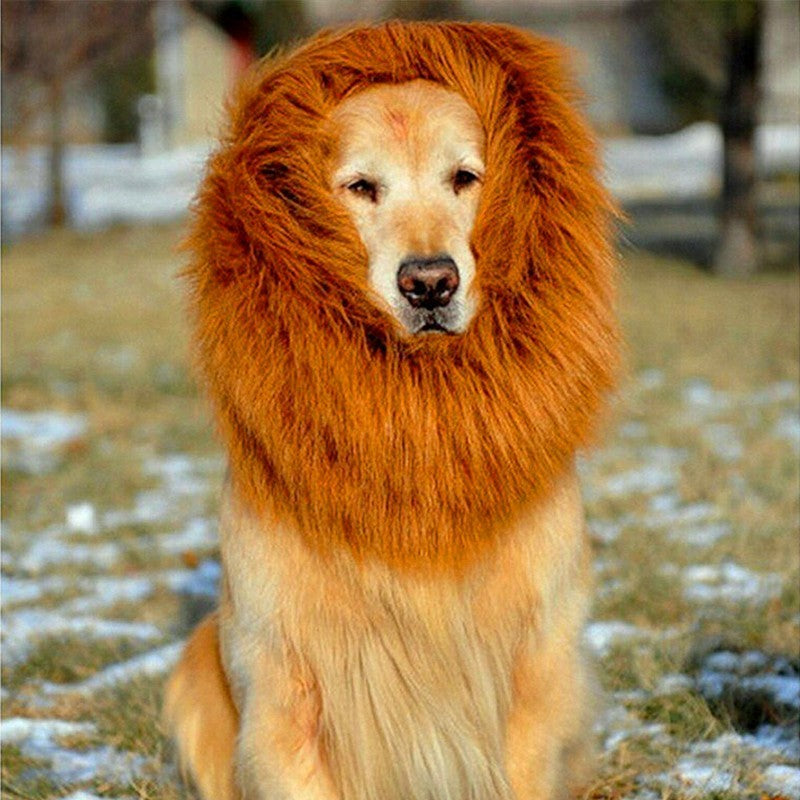 Fido Bay | Funny Leonberger Lion Mane Wig – Perfect for Larger, Wanna-Be Giant Breed Dogs - Fido Bay 