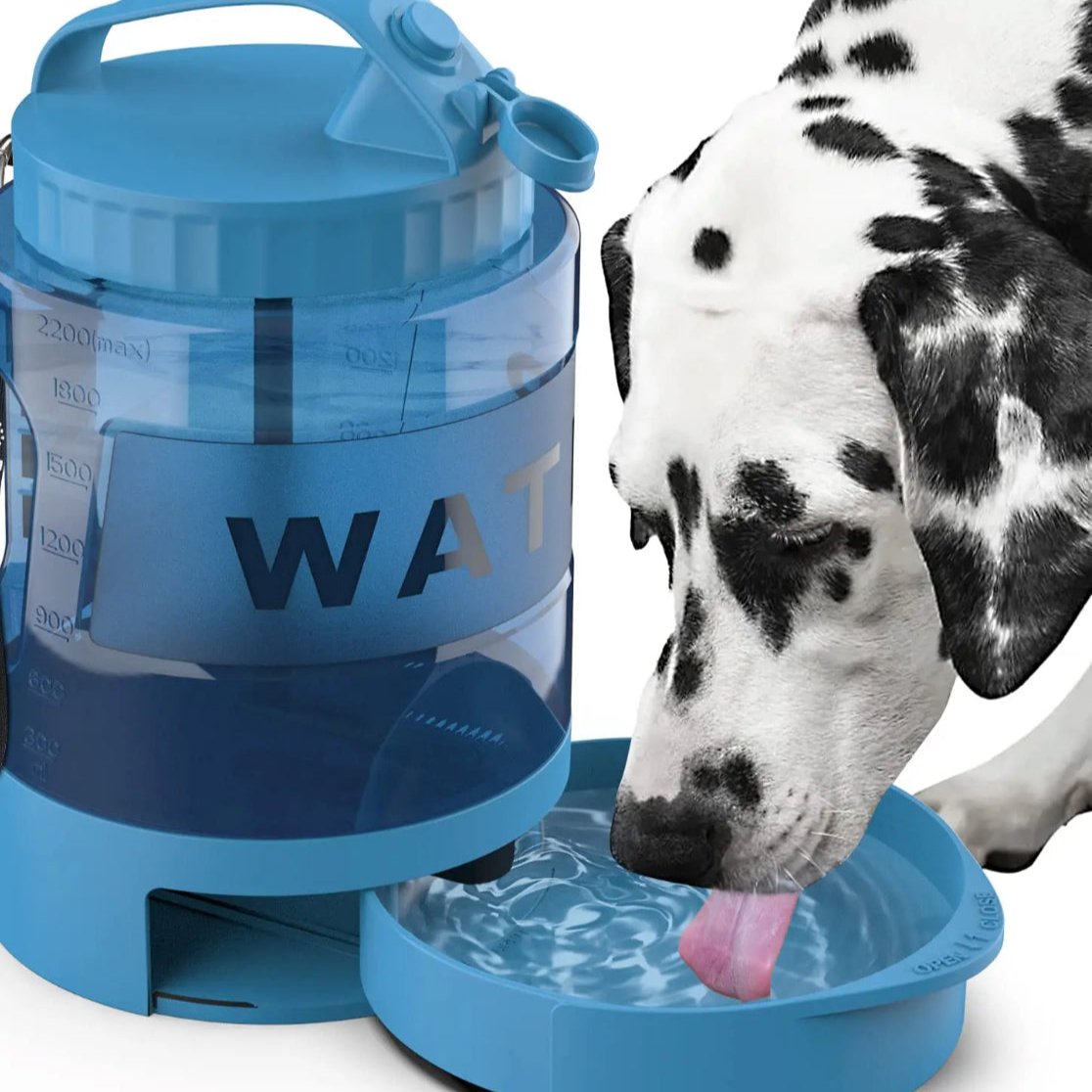 Fido Bay | Portable 2L Dog Water Bottle with Attached Bowl – Convenient & Leak-Proof, Now On Sale! - Fido Bay 