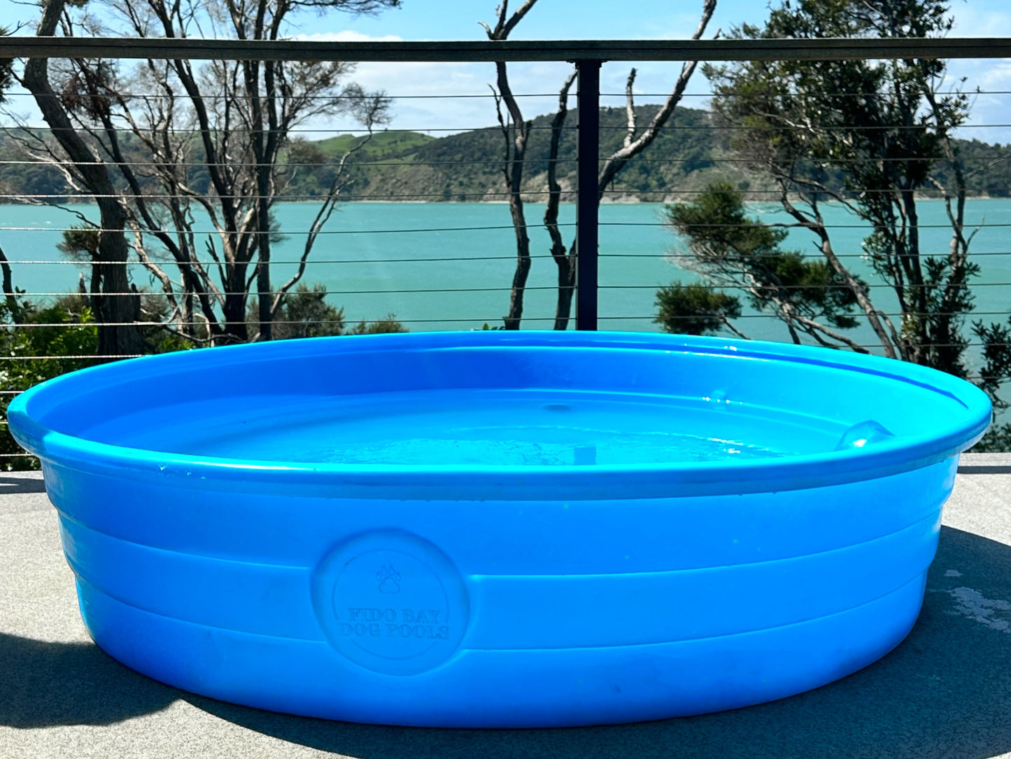 Large Dog Pool. Non foldable dog pool. Round dog pool not bone shape dog pool.