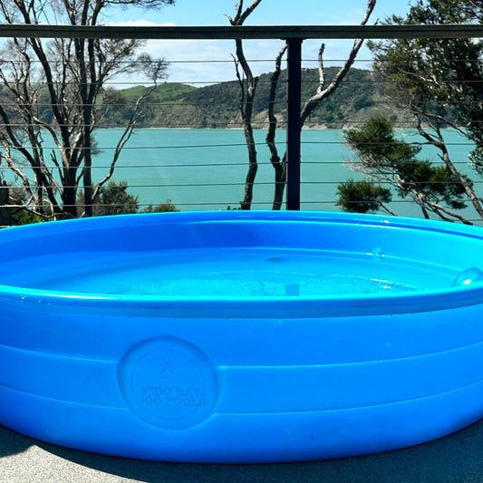 Fido Bay | Best Dog Pool in NZ – Durable, Non-Foldable, Built to Last, Cool For Your Dog - Fido Bay 